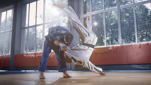 Judo : Grand Chelem à Paris