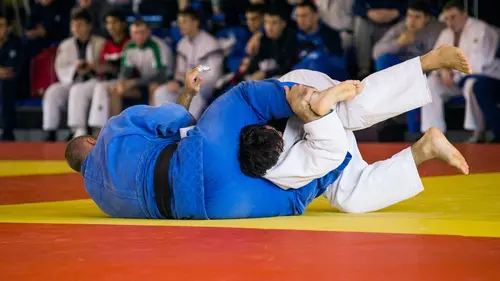 Finale Judo Pro League 2023/2024