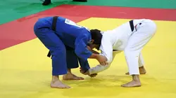 Judo Show