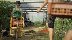 Julien, le marais et la libellule