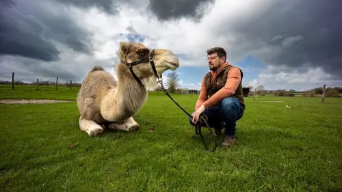 Julien, un chamelier chez les Ch'tis