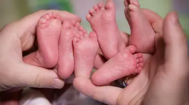 Jumeaux, triplés, quadruplés : entre bonheur et galères