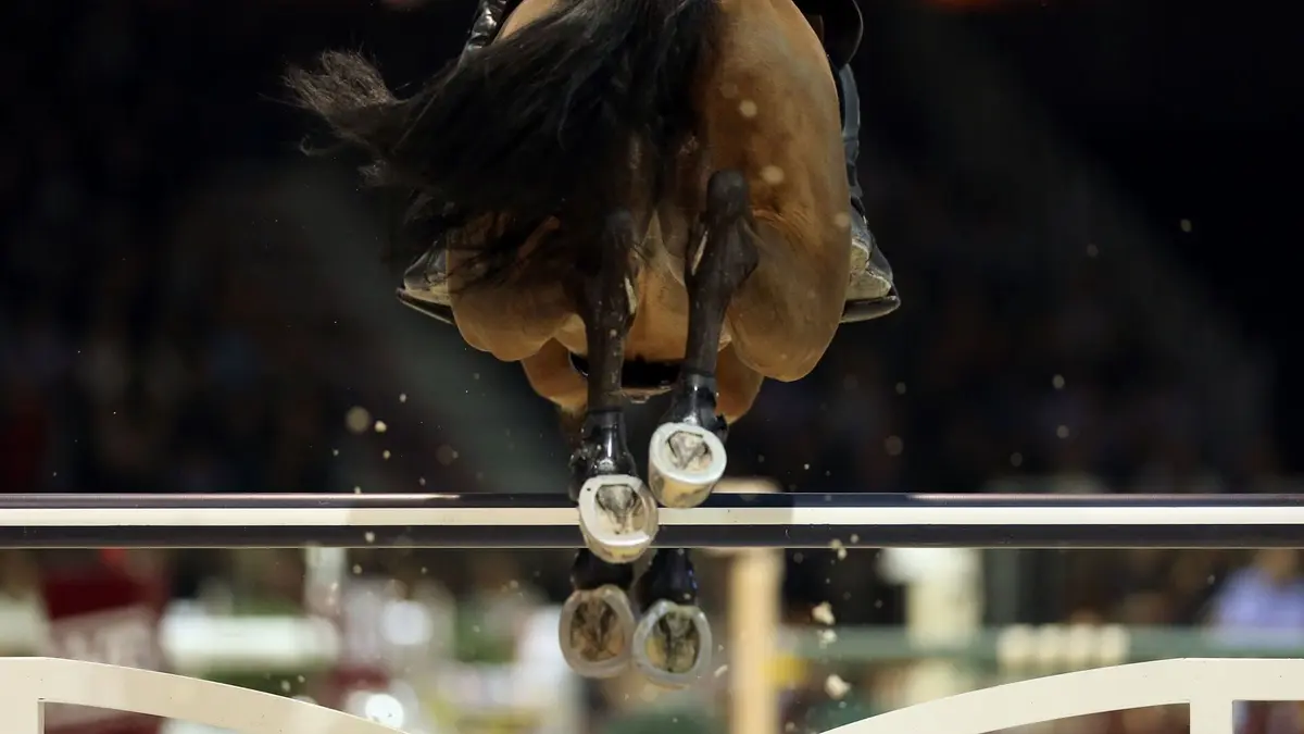 Jumping de Fort Worth Equitation Coupe du monde de saut d'obstacles 2026