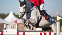 Jumping international de Dinard 5*