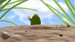 Le rythme de la jungle S08E03 La boussole