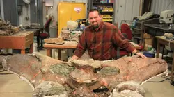 Jurassic C.S.I. Les mastodontes