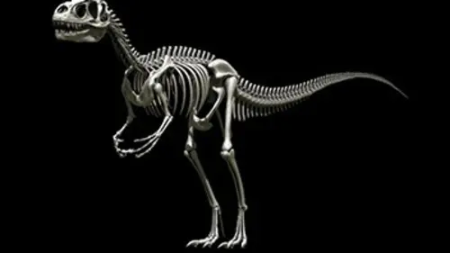 Jurassic Fight Club E12 Armageddon