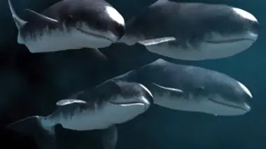 Le tueur des mers profondes