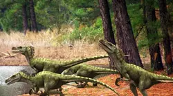 Visuel de Jurassic Fight Club