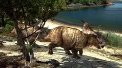 Visuel de Jurassic Fight Club