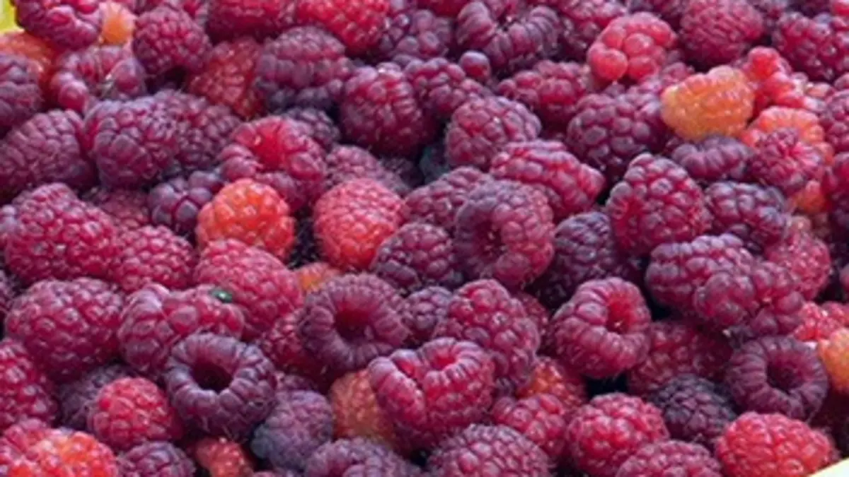 Jus, yaourts, biscuits, où sont passés les fruits ?