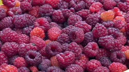 Jus, yaourts, biscuits, où sont passés les fruits ?