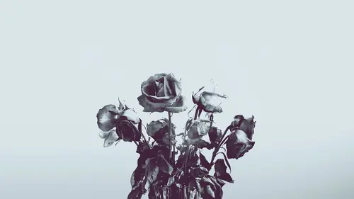 Jusqu'à ce que la mort nous sépare Accident meurtrier