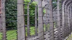 Jusqu'au dernier : la destruction des juifs d'Europe La solution finale