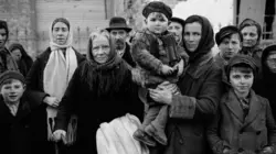Jusqu'au dernier : la destruction des juifs d'Europe  Au coeur de la nuit