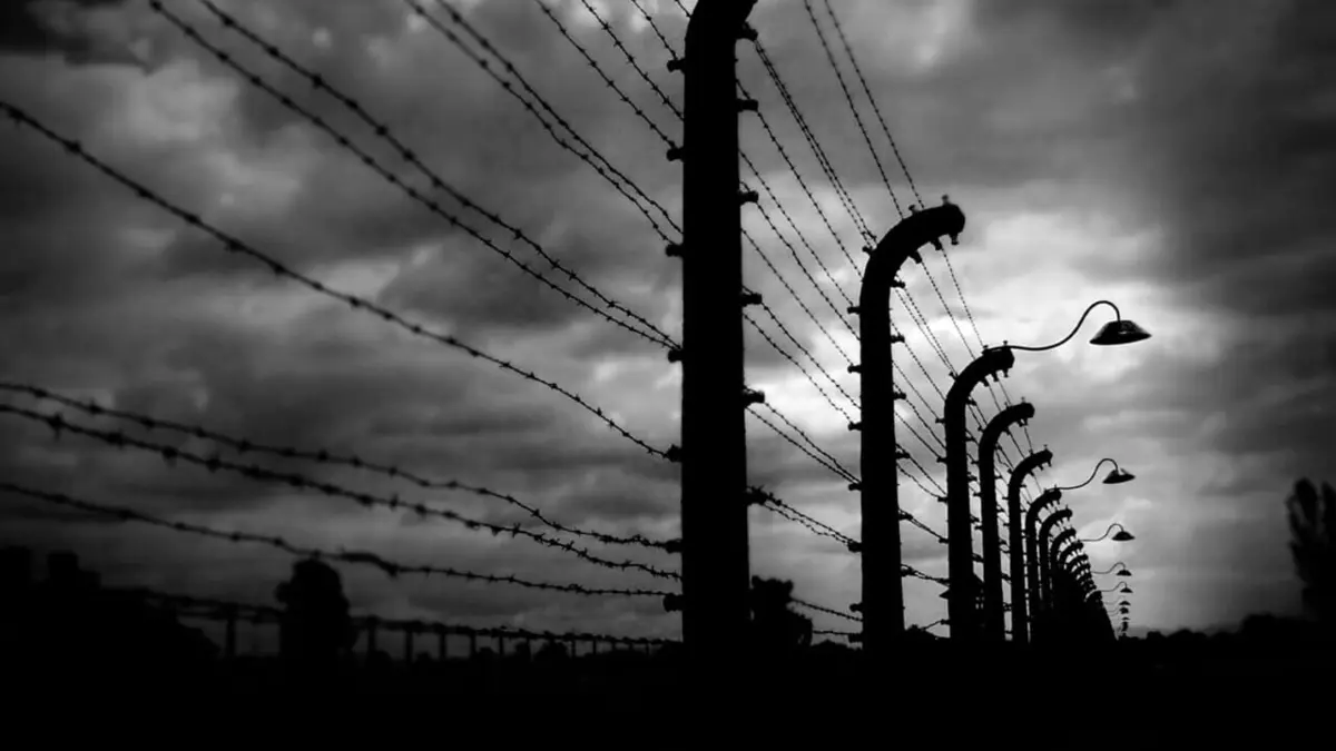 Jusqu'au dernier : la destruction des juifs d'Europe La mort en face