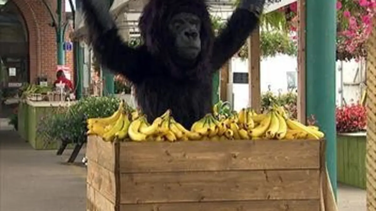 Audiences TV : Juste pour rire