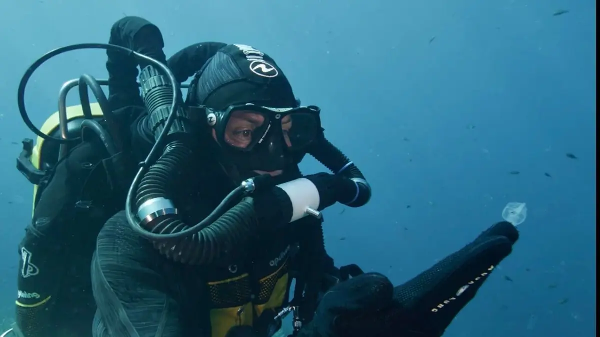 Juste sous la surface