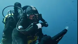 Juste sous la surface