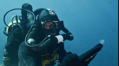 Juste sous la surface