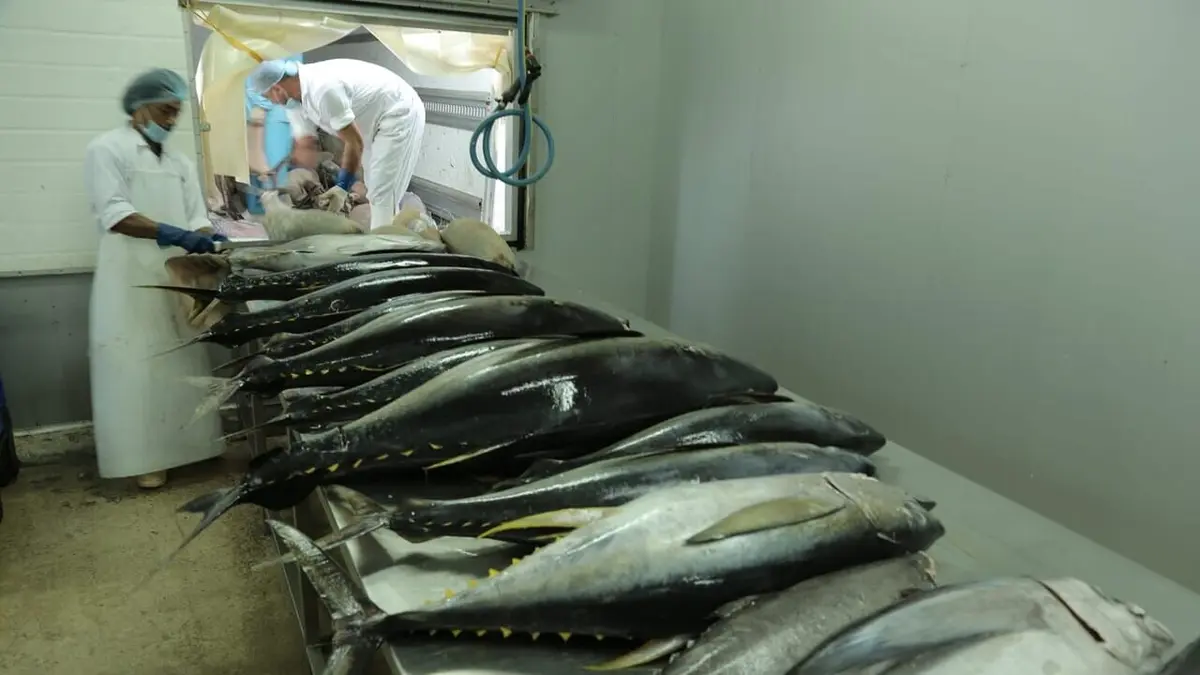 Justicier des océans Le crime