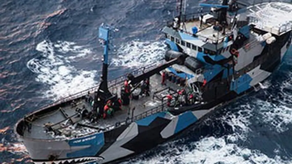 Justiciers des mers S06E04 Décision finale