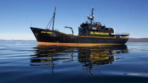 Justiciers des mers S03E01 Entouré d'espions