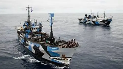 Justiciers des mers S05E00