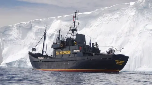 Justiciers des mers S02E04 Du corbeau au menu