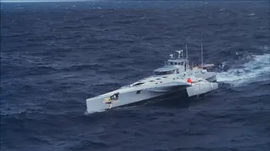 Dans le ventre de la bête