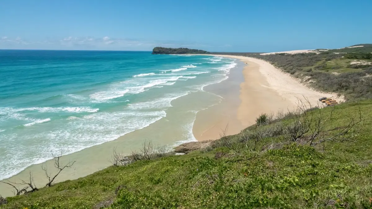 K'gari, l'île de sable