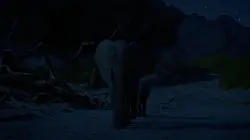 Kalahari, l'autre loi de la jungle Acte 2