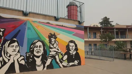 Kamala Harris, une ambition américaine