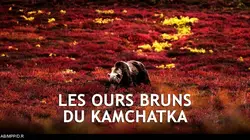 Kamtchatka, la chevauchée sauvage