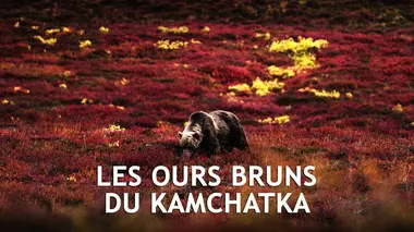 Kamtchatka, la chevauchée sauvage E01