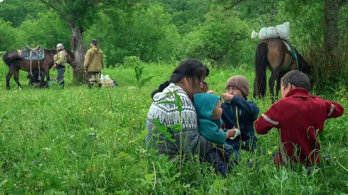 Kamtchatka, un été en pays évène