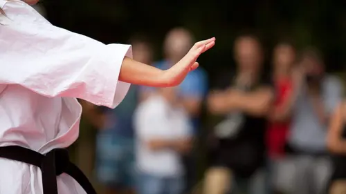 Karaté Championnats du monde