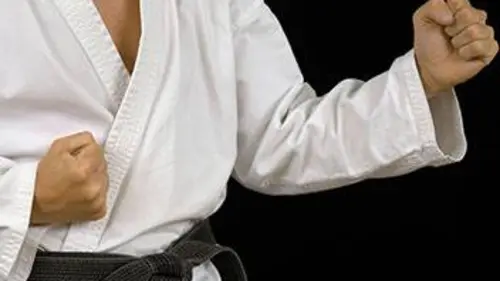 Karaté Open Paris Karaté Premier League 2019