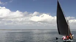 Karen au pays des Dugongs