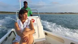 Karen au pays des Dugongs