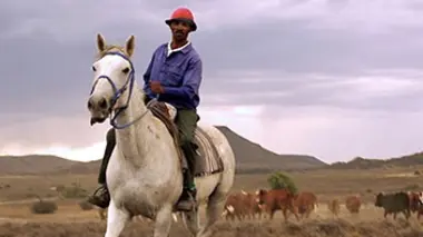 Karoo cowboy