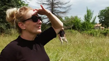 Herenigd in Frankrijk