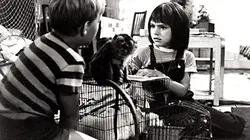 Visuel de Katia et le crocodile