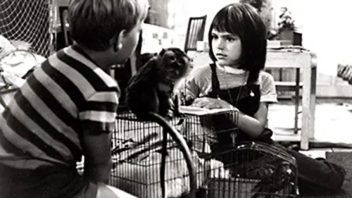 Casting Katia et le crocodile