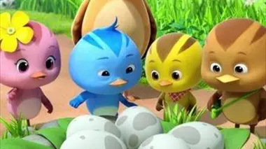 Les oeufs de Madame Pluvier