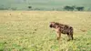 Kenya : au rythme des pluies