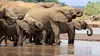 Kenya : au rythme des pluies