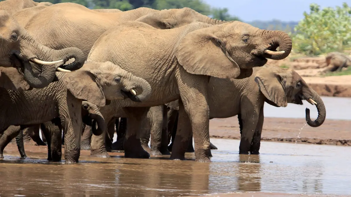 Kenya : au rythme des pluies Les coulisses d'un tournage
