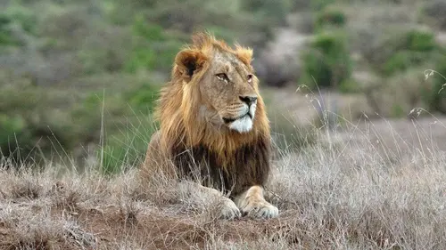 Kenya : au rythme des pluies S01E01 Après le déluge