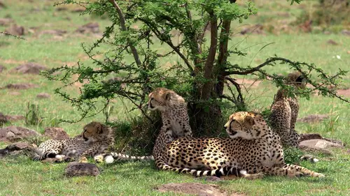 Kenya : au rythme des pluies S01E02 Terre et poussière